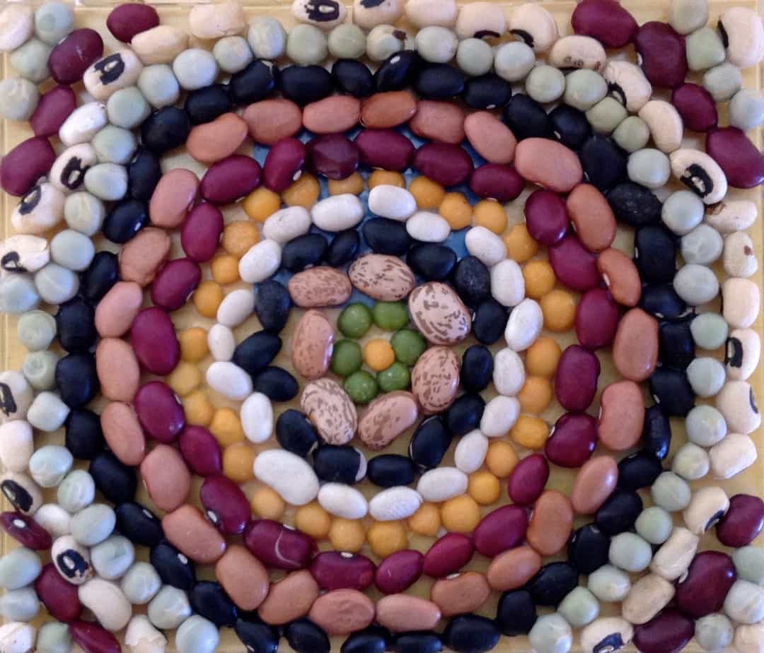 Bean Mosaic